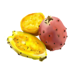 Cactus Pear Oil