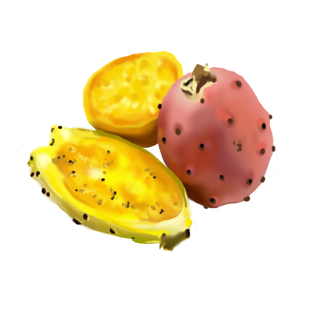 Cactus Pear Oil