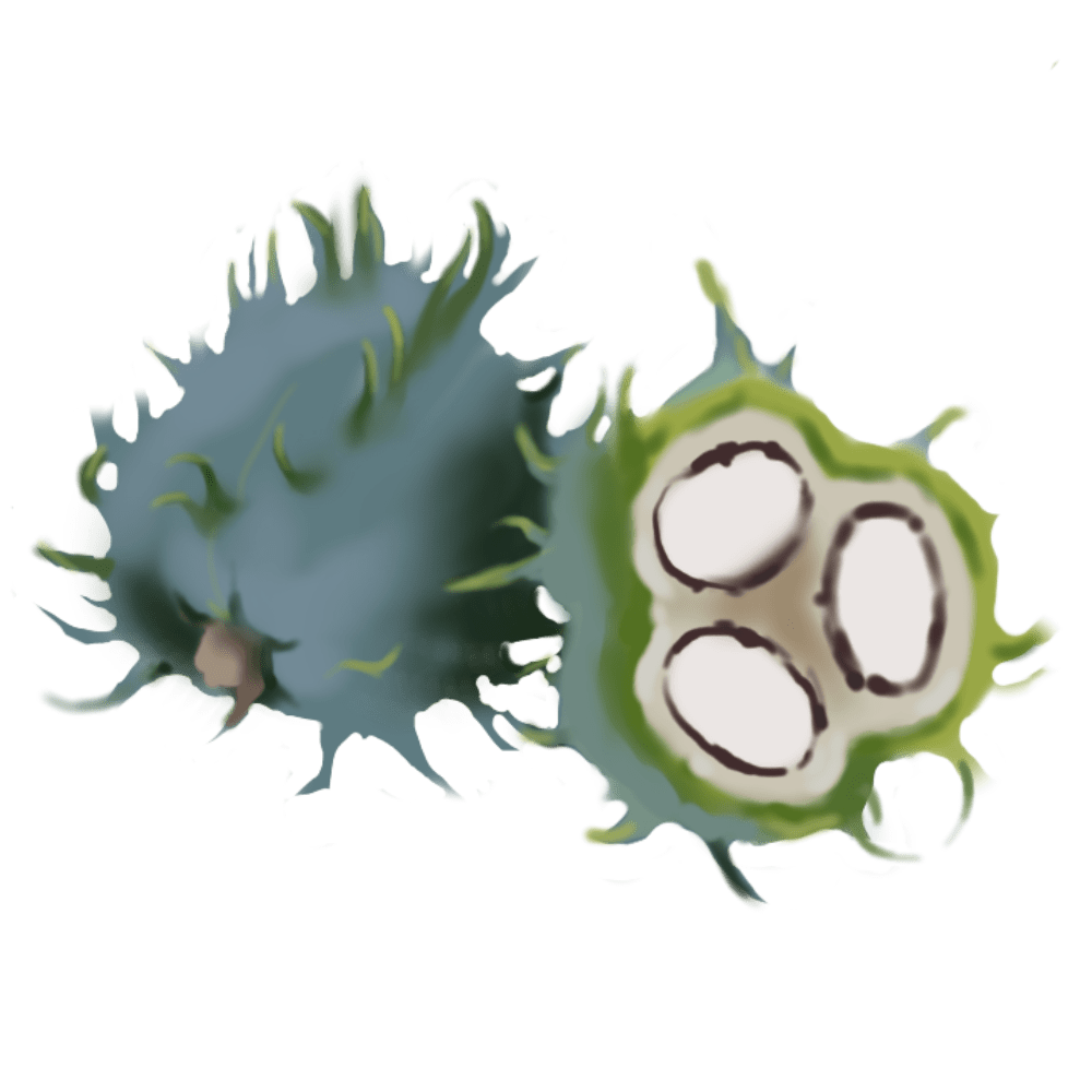 Castor Oil
