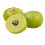 Emblica Extract