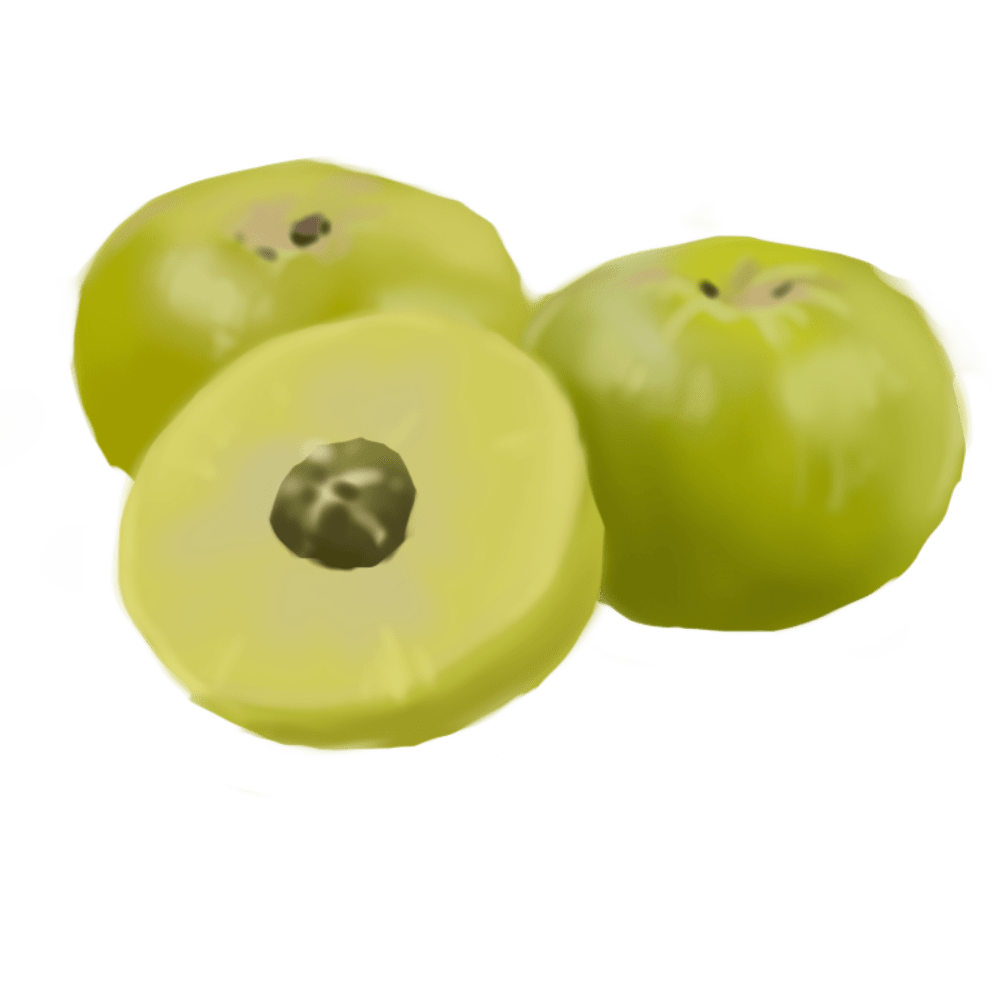 Emblica Extract