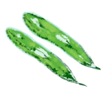 Euglena Gracilis Extract