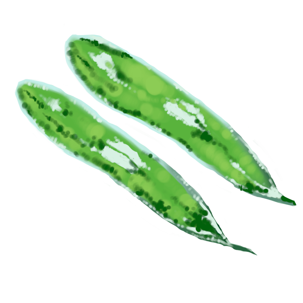 Euglena Gracilis Extract