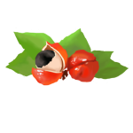 Guarana-Carnitin Complex