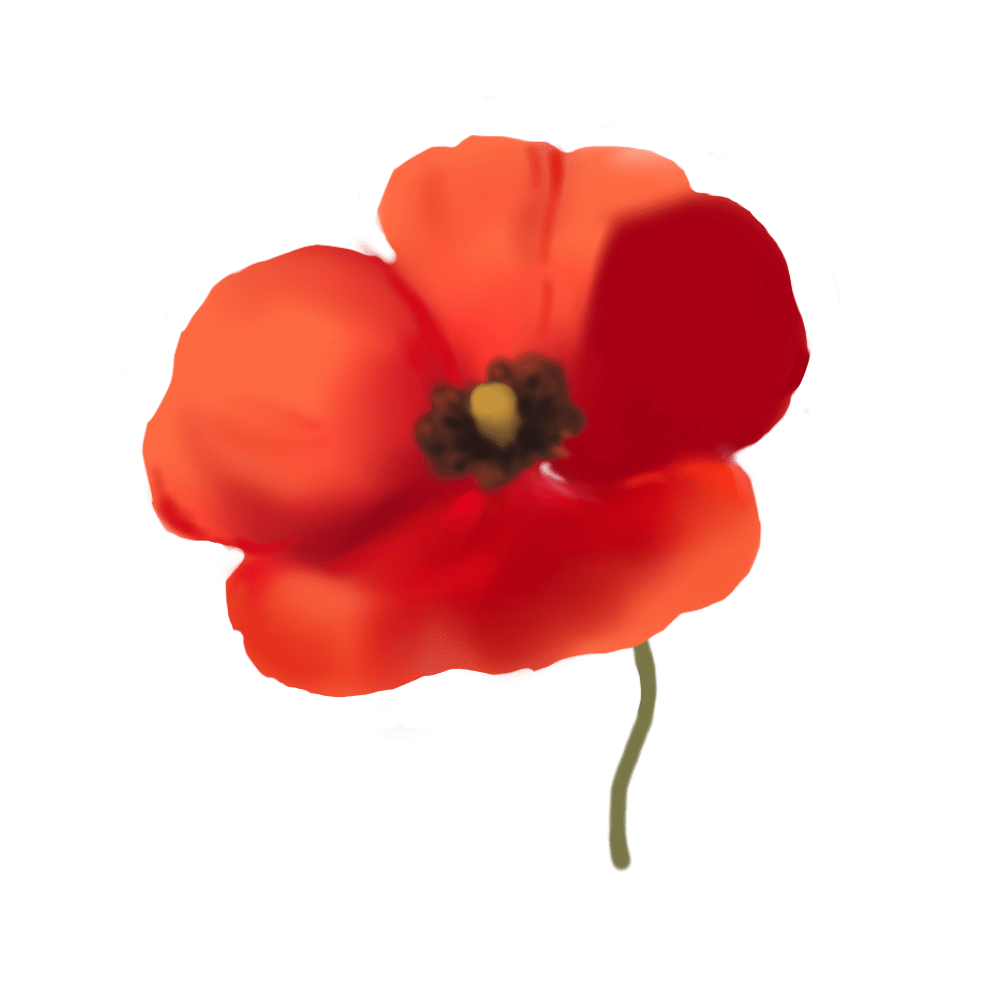 Herbal Caffeine-Horn Poppy-Complex