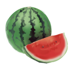 Kalahari Watermelon Extract
