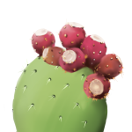 Opuntia Ficus-Indica Stem Extract
