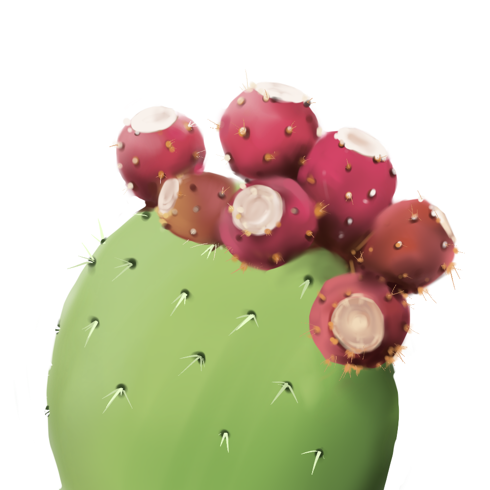 Opuntia Ficus-Indica Stem Extract