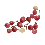 Rose Pepper