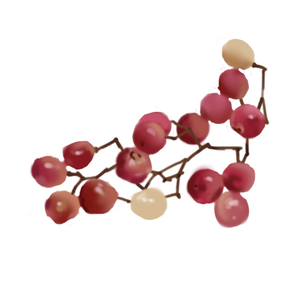 Rose Pepper
