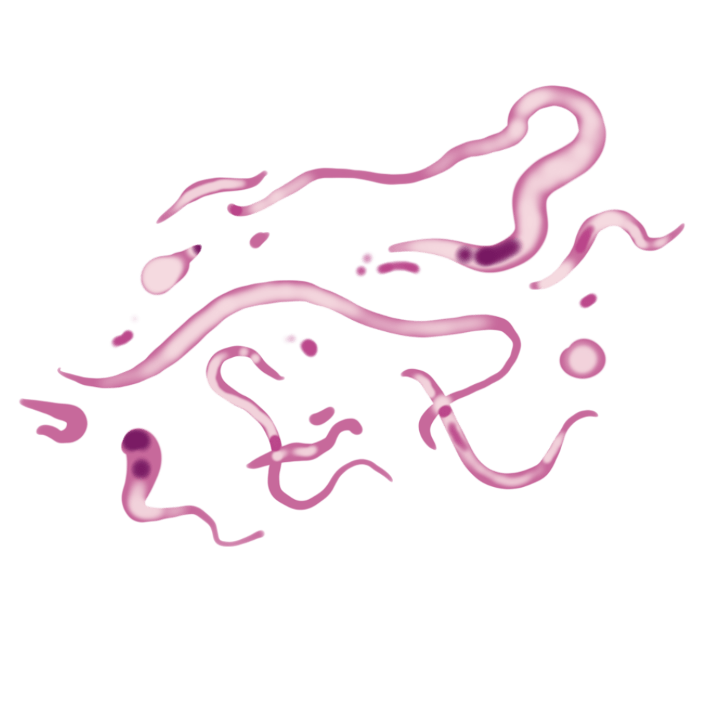Salt Lake Micro Algae Extract