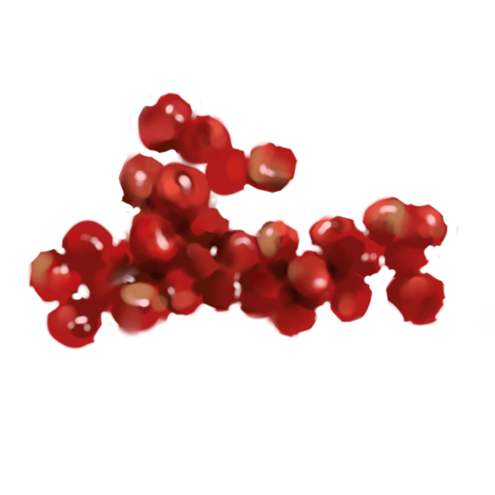 Schinus Terebinthifolius Seed Extract
