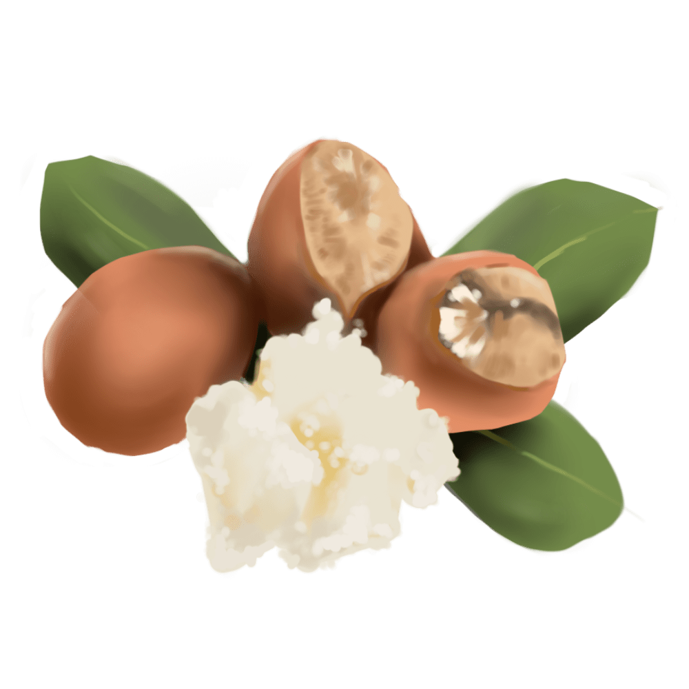 Shea Butter