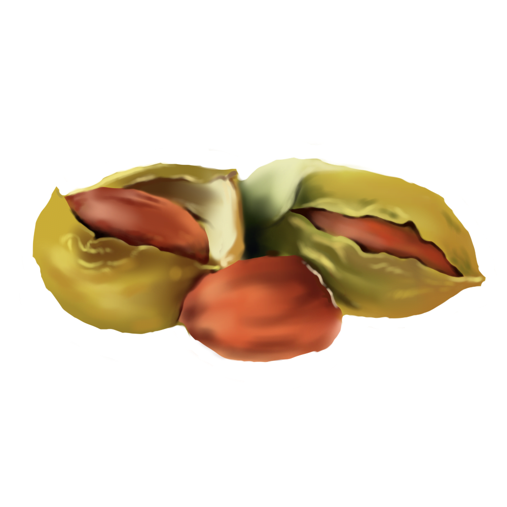 Simmondsia Chinensis (Jojoba Oil)