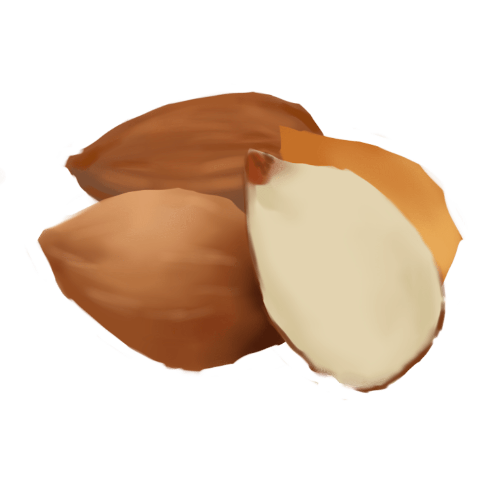 Sweet Almond Oil