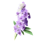 Vitex Agnus Castus Extract