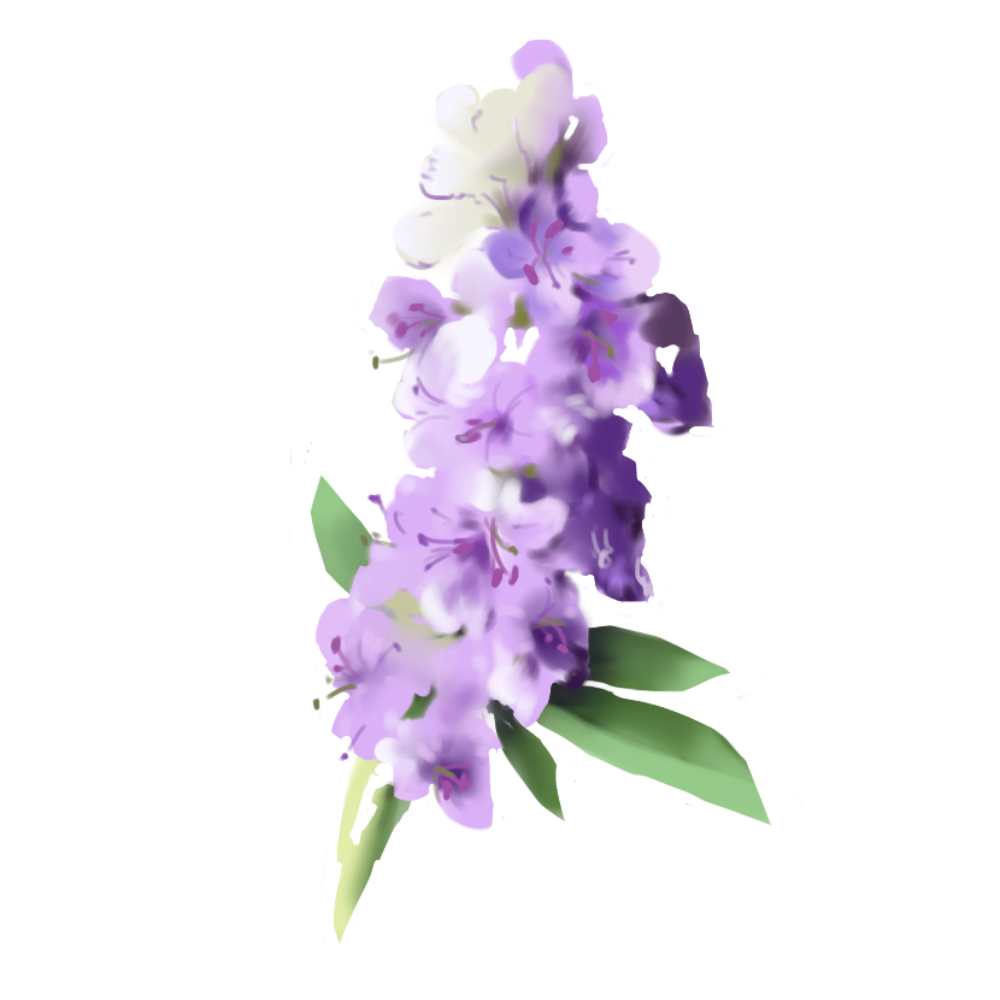 Vitex Agnus Castus Extract